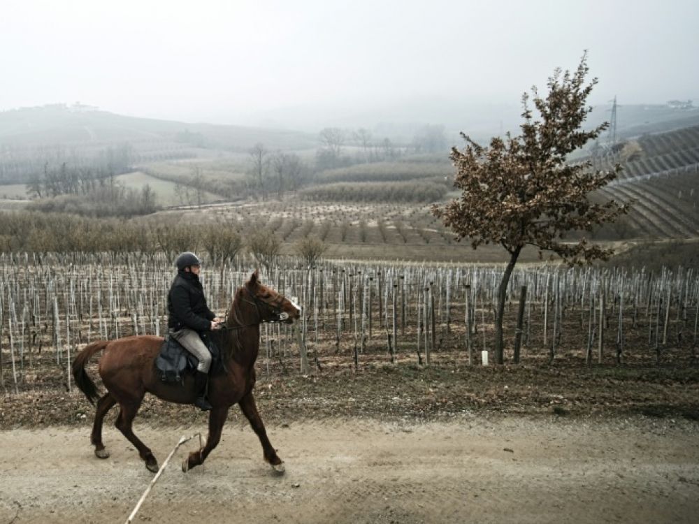 Dans un Piémont vieillissant, un médecin italien visite ses patients à cheval
