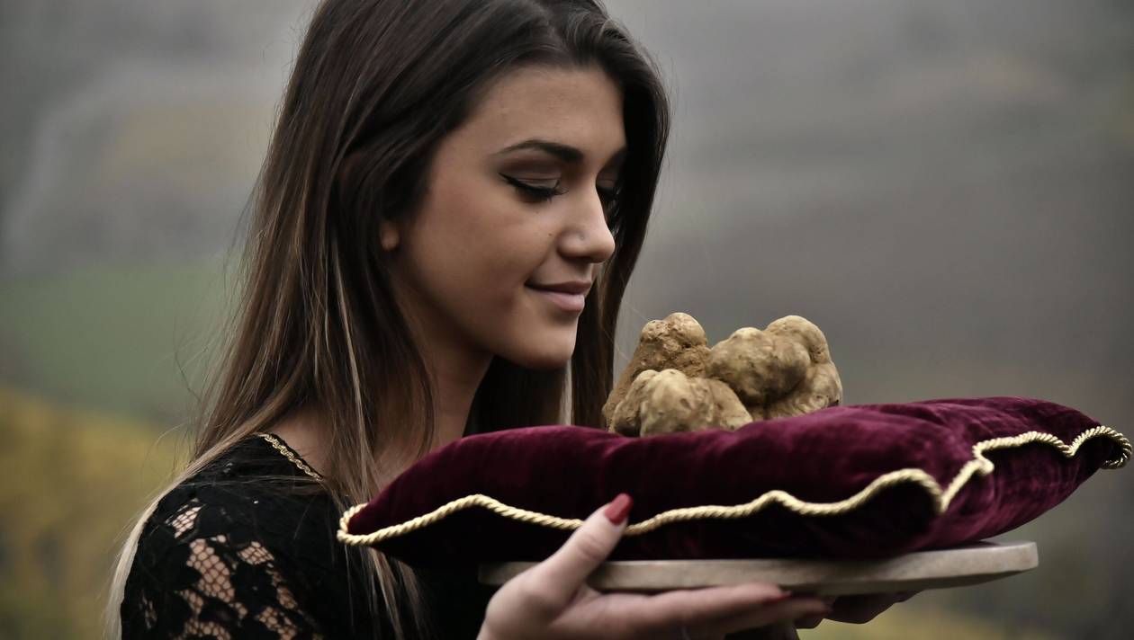 Italie: une truffe blanche d'Alba vendue 85.000 euros