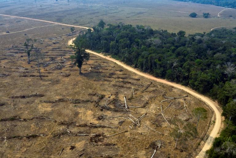 Déforestation en Amazonie: Casino mis en demeure par plusieurs ONG