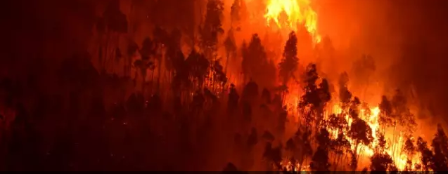 Six portugais contre 32 Etats: "l'inaction climatique" en débat à la CEDH