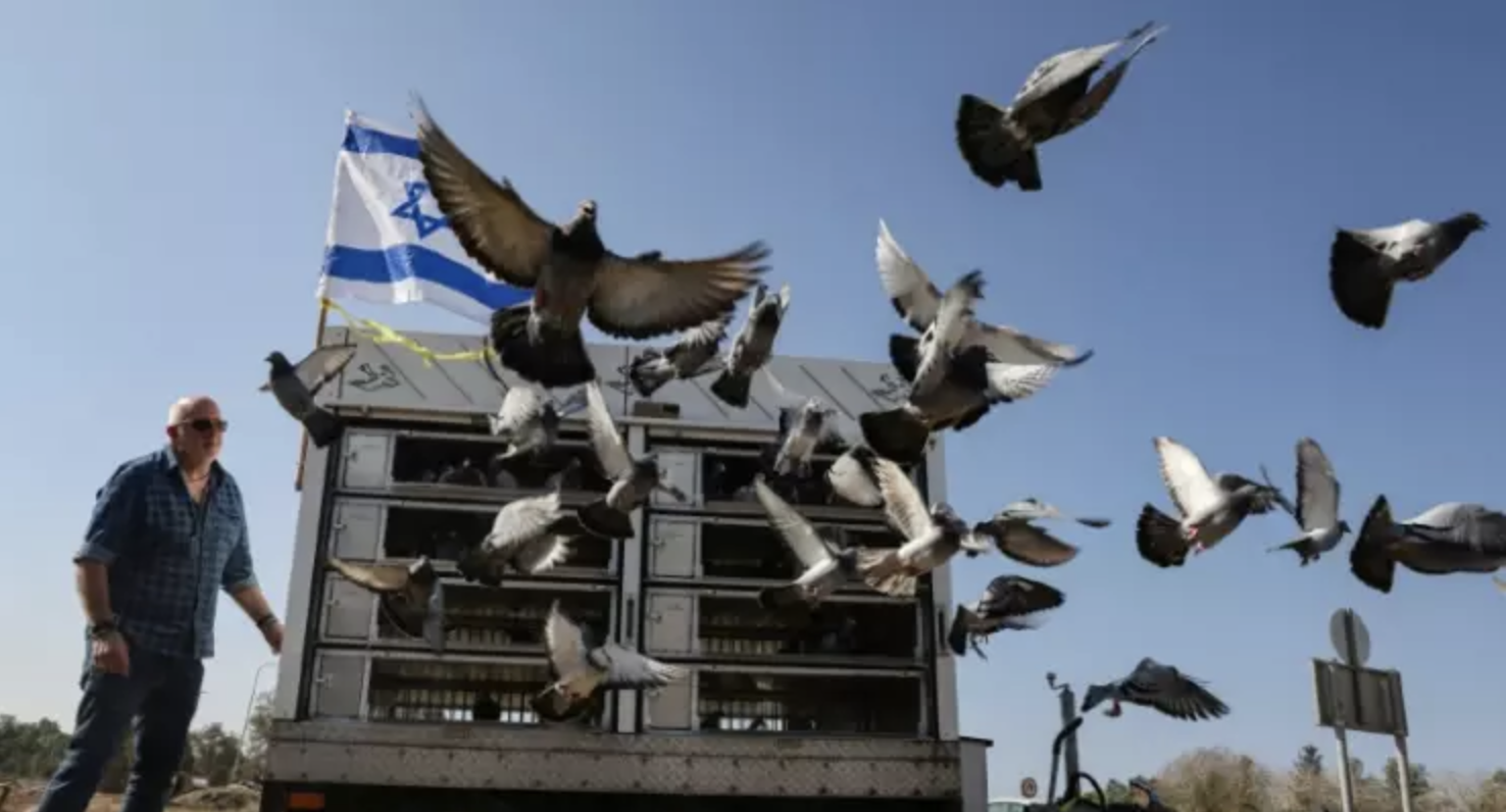 L'armée israélienne resserre l'étau sur le sud de Gaza