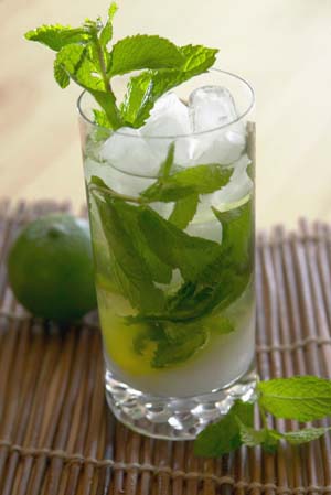 MOJITO